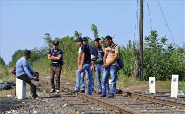 Több mint 155 ezer menedékjog iránti kérelmet regisztráltak